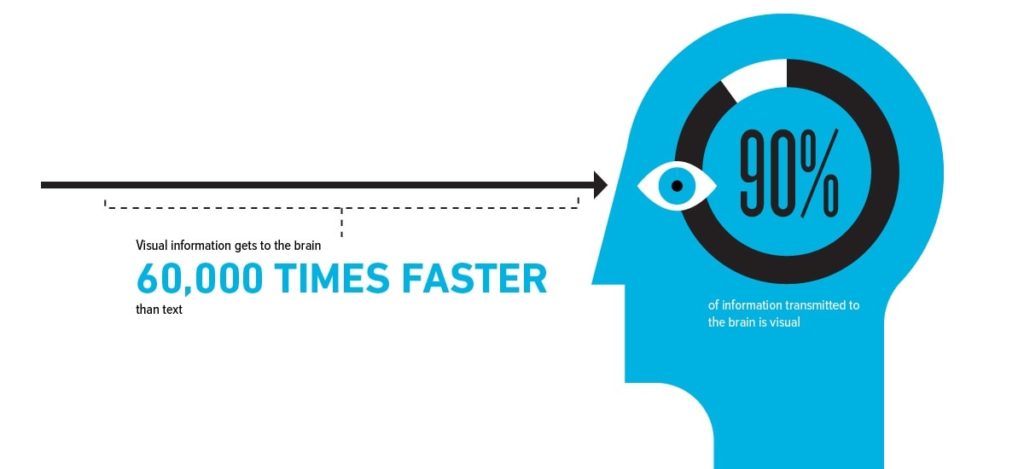 How images are received in the brain